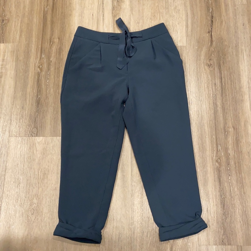 Aritzia Wilfred Allant Pant Size 2